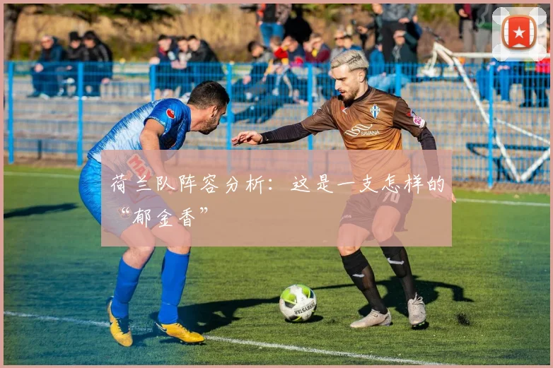 荷兰队阵容分析:这是一支怎样的“郁金香”
