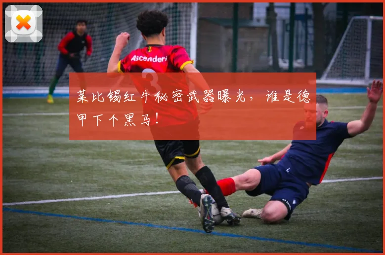 莱比锡红牛秘密武器曝光，谁是德甲下个黑马！