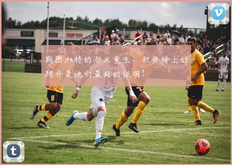 斯图加特的浴火重生,积分榜上的爬升是他们最好的证明!