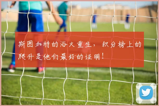 斯图加特的浴火重生,积分榜上的爬升是他们最好的证明!